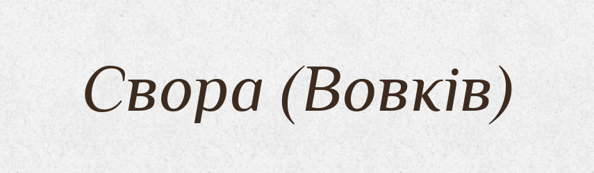Свора (Вовків) — Словник чужомовних слів і термінів