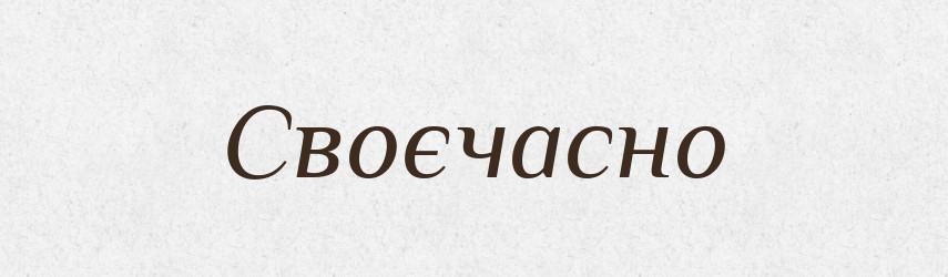 Своєчасно — Словник чужомовних слів і термінів