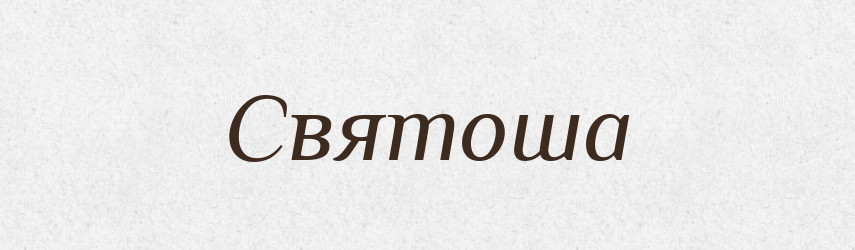 Святоша — Словник чужомовних слів і термінів