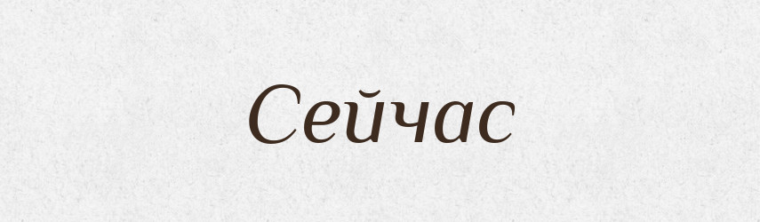 Сейчас — Словник чужомовних слів і термінів