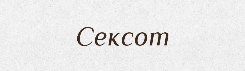 Сексот — Словник чужомовних слів і термінів