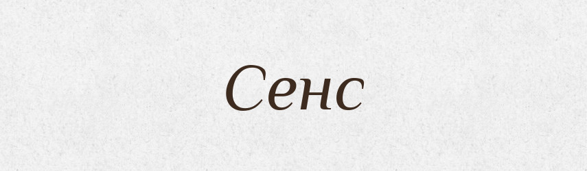 Сенс — Словник чужомовних слів і термінів