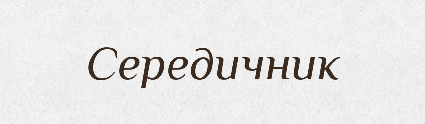Середичник — Словник чужомовних слів і термінів