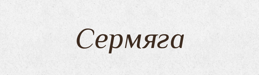 Сермяга — Словник чужомовних слів і термінів