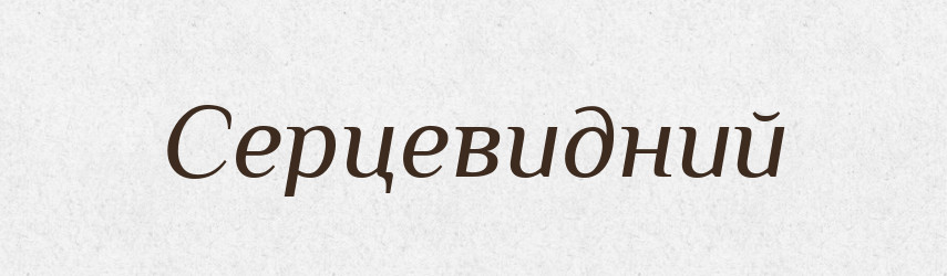 Серцевидний — Словник чужомовних слів і термінів