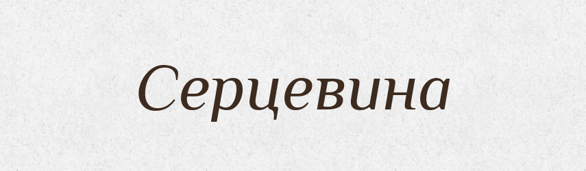 Серцевина — Словник чужомовних слів і термінів
