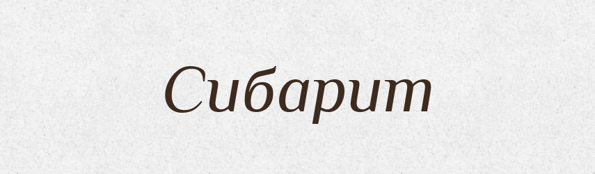 Сибарит — Словник чужомовних слів і термінів