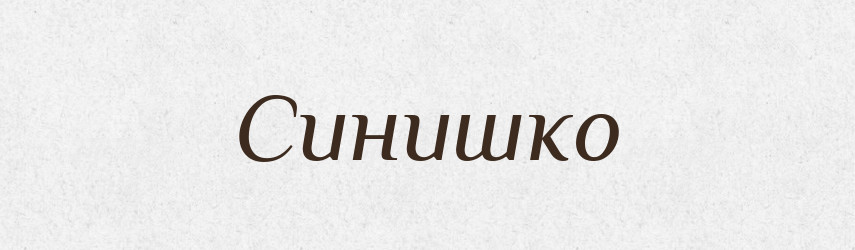 Синишко — Словник чужомовних слів і термінів