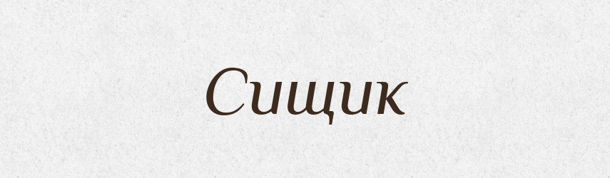 Сищик — Словник чужомовних слів і термінів