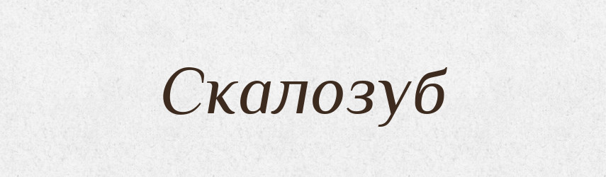 Скалозуб — Словник чужомовних слів і термінів
