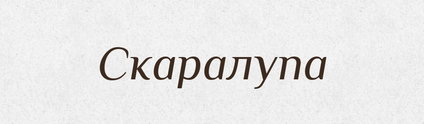 Скаралупа — Словник чужомовних слів і термінів
