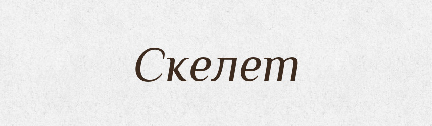 Скелет — Словник чужомовних слів і термінів