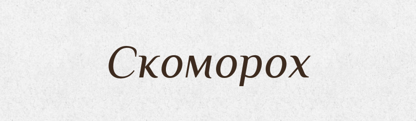 Скоморох — Словник чужомовних слів і термінів