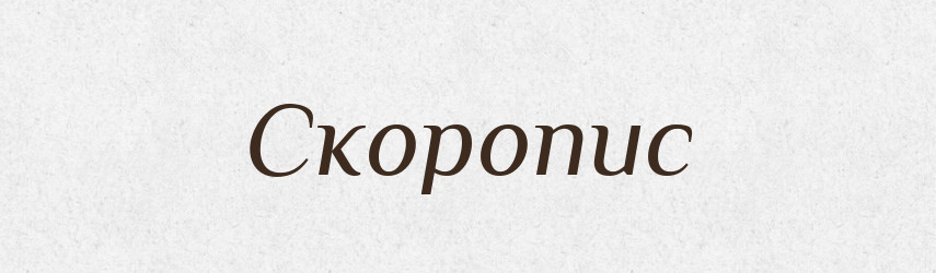 Скоропис — Словник чужомовних слів і термінів