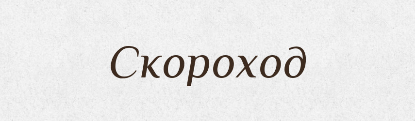 Скороход — Словник чужомовних слів і термінів