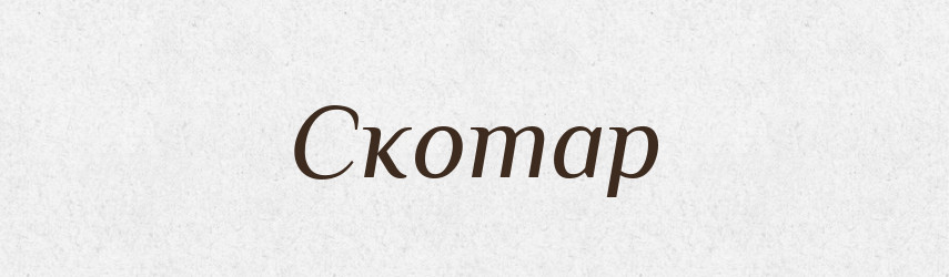Скотар — Словник чужомовних слів і термінів
