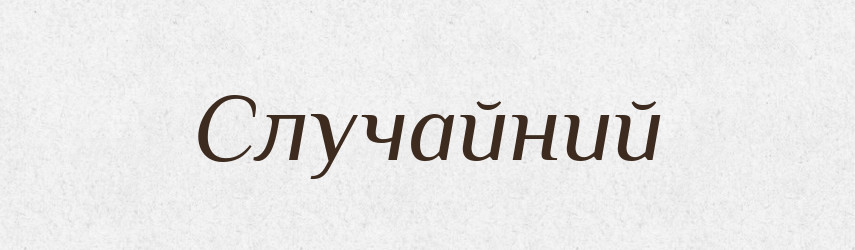 Случайний — Словник чужомовних слів і термінів