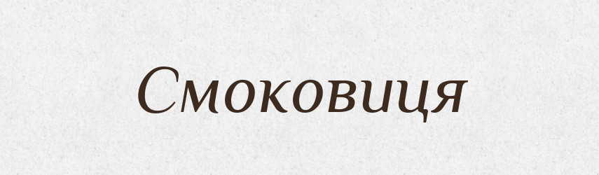 Смоковиця — Словник чужомовних слів і термінів