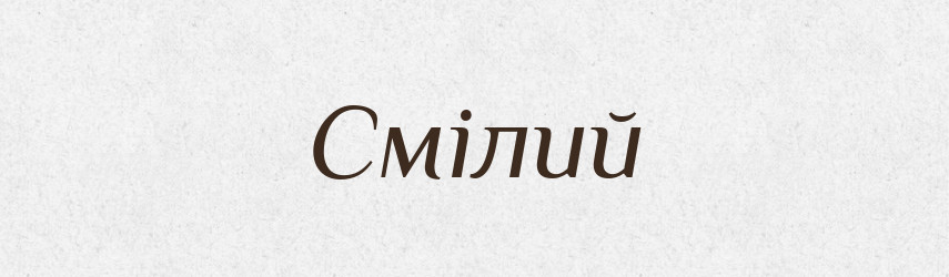 Смілий — Словник чужомовних слів і термінів