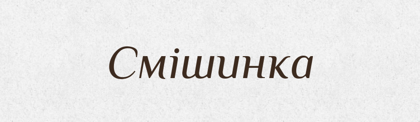 Смішинка — Словник чужомовних слів і термінів