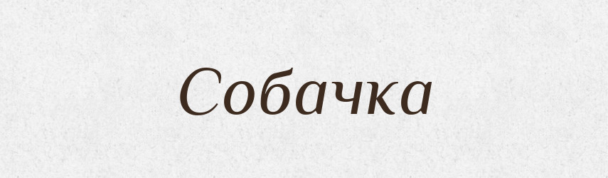 Собачка — Словник чужомовних слів і термінів