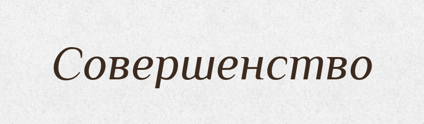 Совершенство — Словник чужомовних слів і термінів