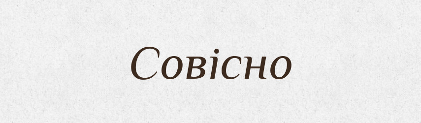 Совісно — Словник чужомовних слів і термінів