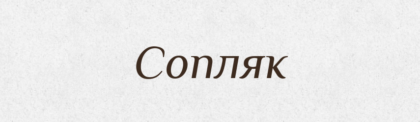 Сопляк — Словник чужомовних слів і термінів