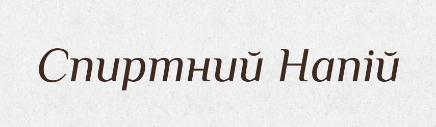 Спиртний Напій — Словник чужомовних слів і термінів