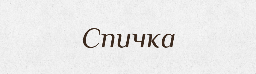 Спичка — Словник чужомовних слів і термінів