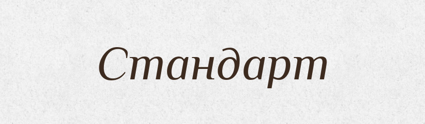 Стандарт — Словник чужомовних слів і термінів