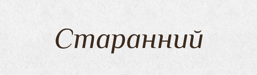 Старанний — Словник чужомовних слів і термінів