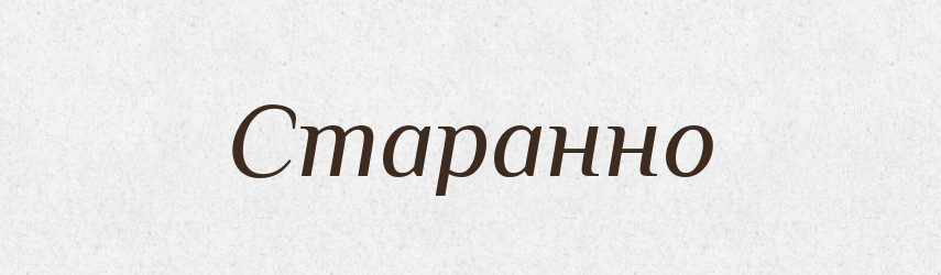 Старанно — Словник чужомовних слів і термінів