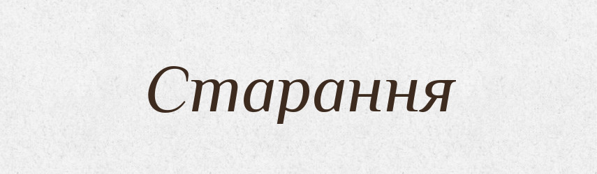 Старання — Словник чужомовних слів і термінів