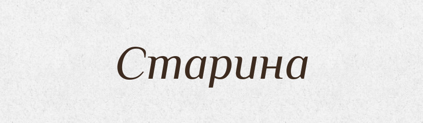Старина — Словник чужомовних слів і термінів
