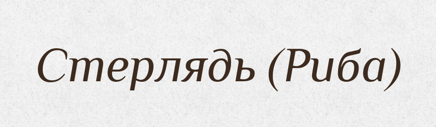 Стерлядь (Риба) — Словник чужомовних слів і термінів