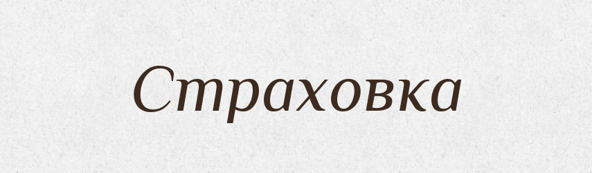 Страховка — Словник чужомовних слів і термінів