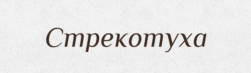 Стрекотуха — Словник чужомовних слів і термінів