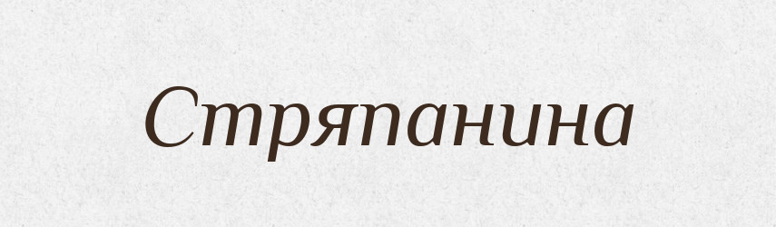 Стряпанина — Словник чужомовних слів і термінів