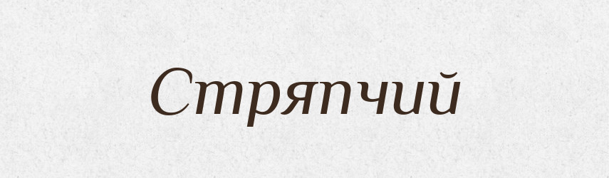 Стряпчий — Словник чужомовних слів і термінів