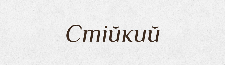Стійкий — Словник чужомовних слів і термінів