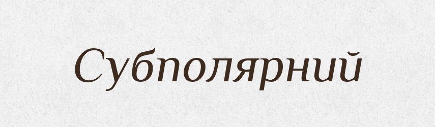 Субполярний — Словник чужомовних слів і термінів