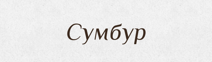 Сумбур — Словник чужомовних слів і термінів