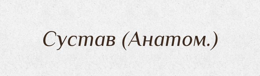 Сустав (Анатом.) — Словник чужомовних слів і термінів