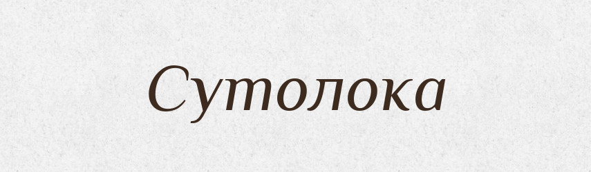 Сутолока — Словник чужомовних слів і термінів