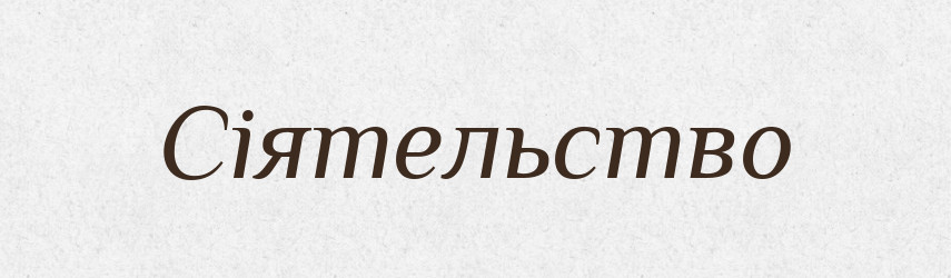 Сіятельство — Словник чужомовних слів і термінів