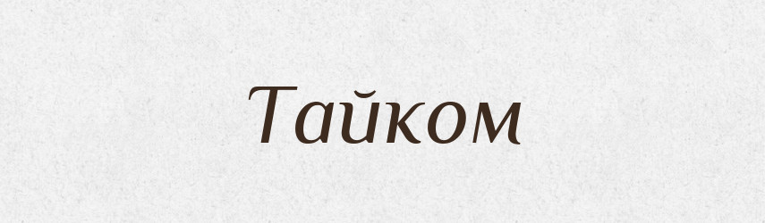 Тайком — Словник чужомовних слів і термінів