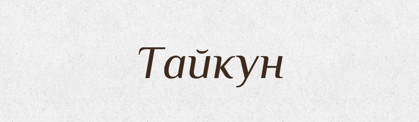 Тайкун — Словник чужомовних слів і термінів
