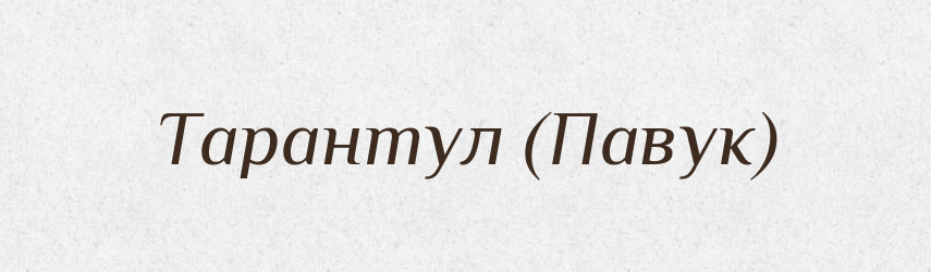 Тарантул (Павук) — Словник чужомовних слів і термінів