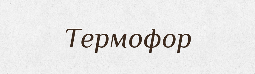 Термофор — Словник чужомовних слів і термінів